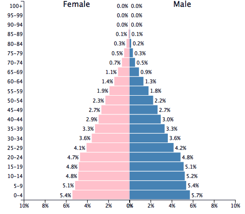 フィリピン留学×就職サポートコースのpopulationの図