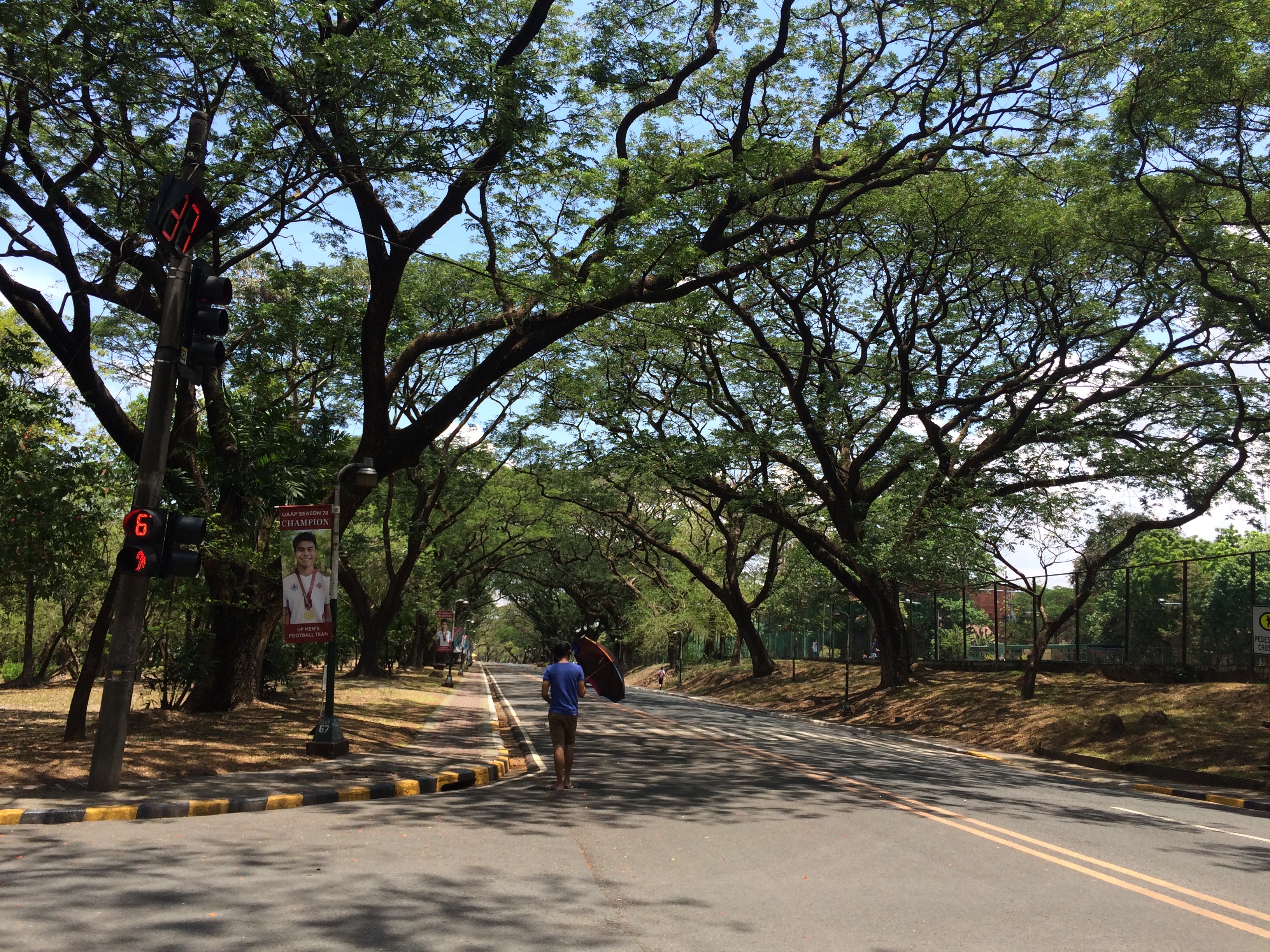 フィリピンの大学・UP・University of the Philippinesの敷地内